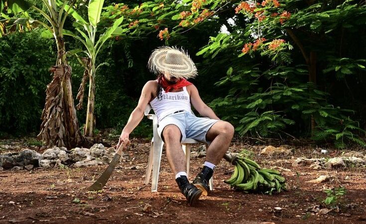 Bad Bunny no Brasil: como o idioma deixou de ser barreira e virou ponte